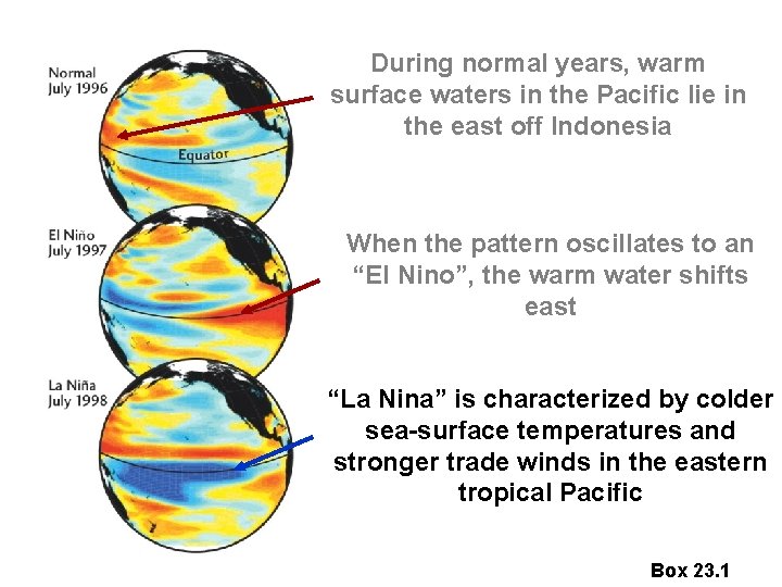 During normal years, warm surface waters in the Pacific lie in the east off