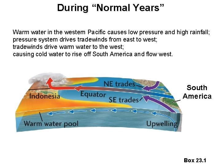 During “Normal Years” Warm water in the western Pacific causes low pressure and high