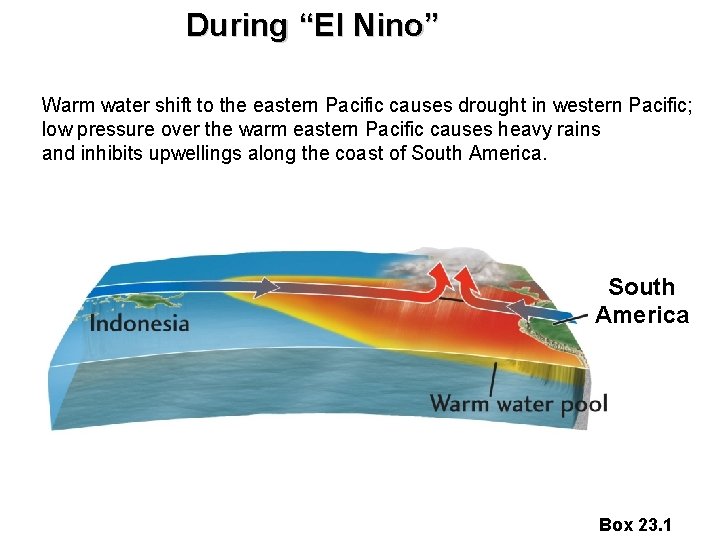 During “El Nino” Warm water shift to the eastern Pacific causes drought in western