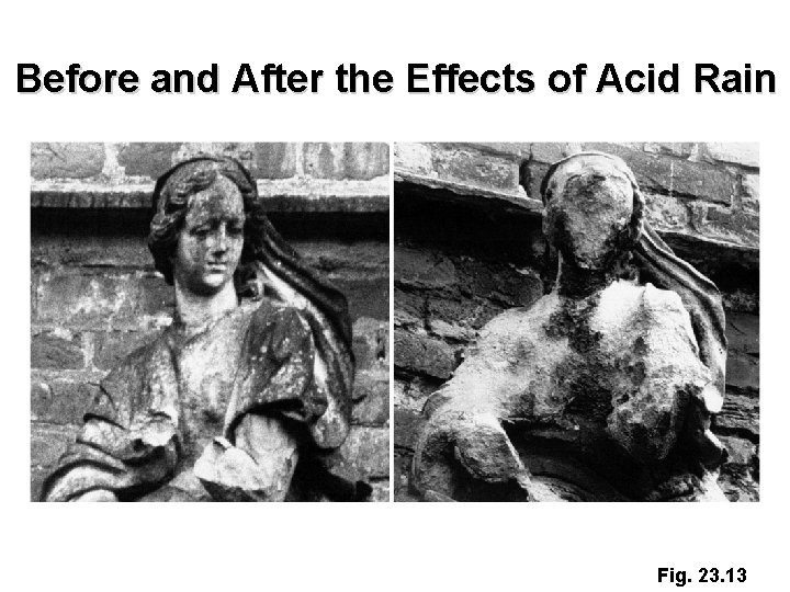 Before and After the Effects of Acid Rain Fig. 23. 13 