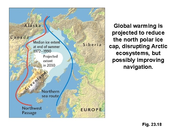 Global warming is projected to reduce the north polar ice cap, disrupting Arctic ecosystems,