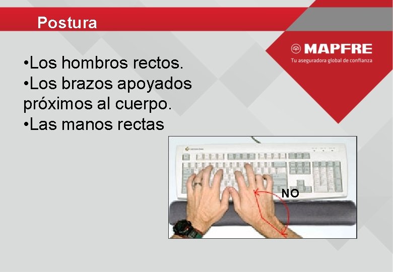 Postura • Los hombros rectos. • Los brazos apoyados próximos al cuerpo. • Las