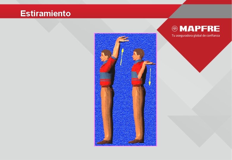 Estiramiento 