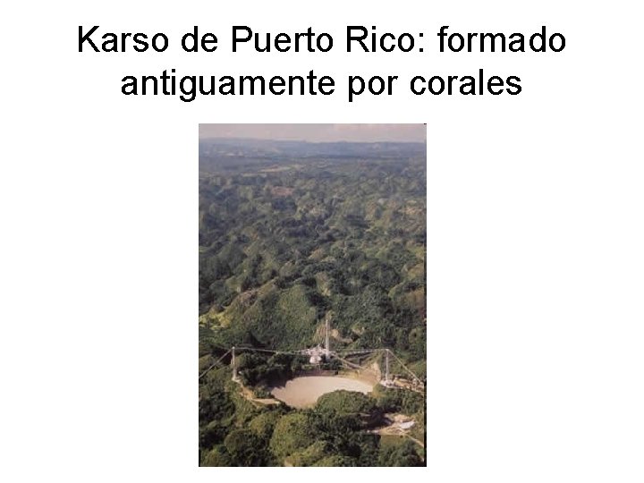 Karso de Puerto Rico: formado antiguamente por corales 