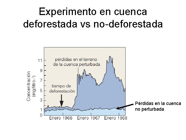 Experimento en cuenca deforestada vs no-deforestada Pérdidas en la cuenca no perturbada 