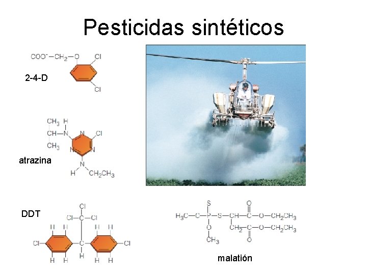 Pesticidas sintéticos 2 -4 -D atrazina DDT malatión 