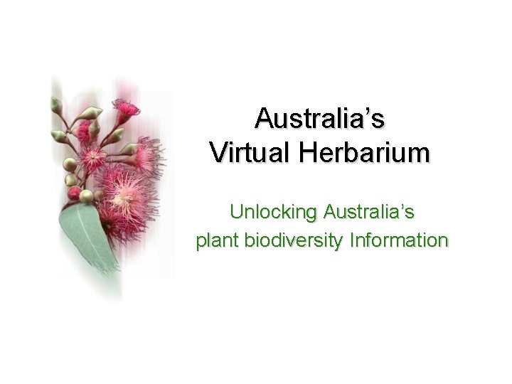 Australia’s Virtual Herbarium Unlocking Australia’s plant biodiversity Information 