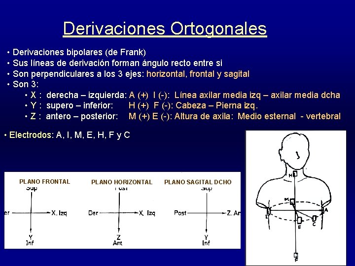 Derivaciones Ortogonales • Derivaciones bipolares (de Frank) • Sus líneas de derivación forman ángulo