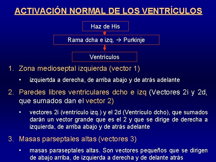 ACTIVACIÓN NORMAL DE LOS VENTRÍCULOS Haz de His Rama dcha e izq. Purkinje Ventrículos