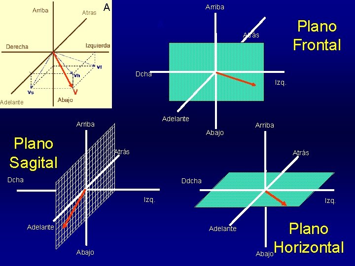 Atras A Arriba Plano Frontal A Atrás Dcha Izq. Adelante Arriba Abajo Plano Sagital
