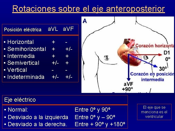 Rotaciones sobre el eje anteroposterior Posición eléctrica • Horizontal • Semihorizontal • Intermedia •