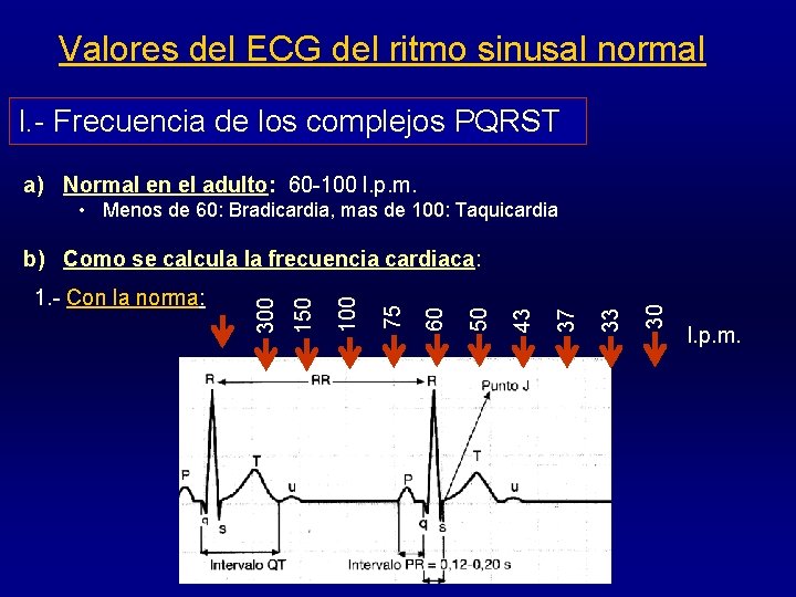 Valores del ECG del ritmo sinusal normal I. - Frecuencia de los complejos PQRST