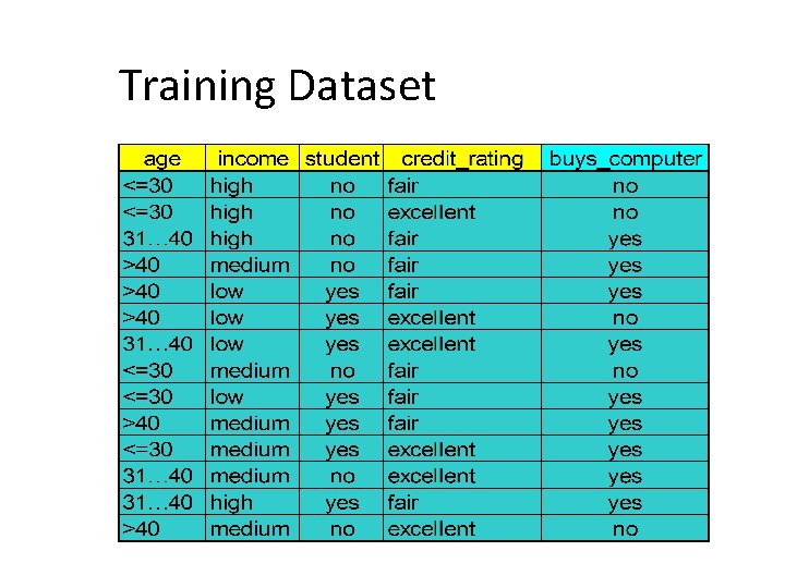 Training Dataset 