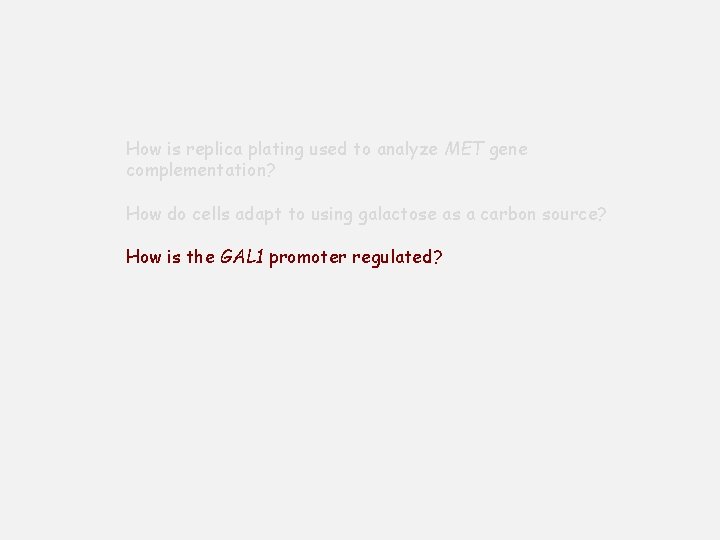 How is replica plating used to analyze MET gene complementation? How do cells adapt