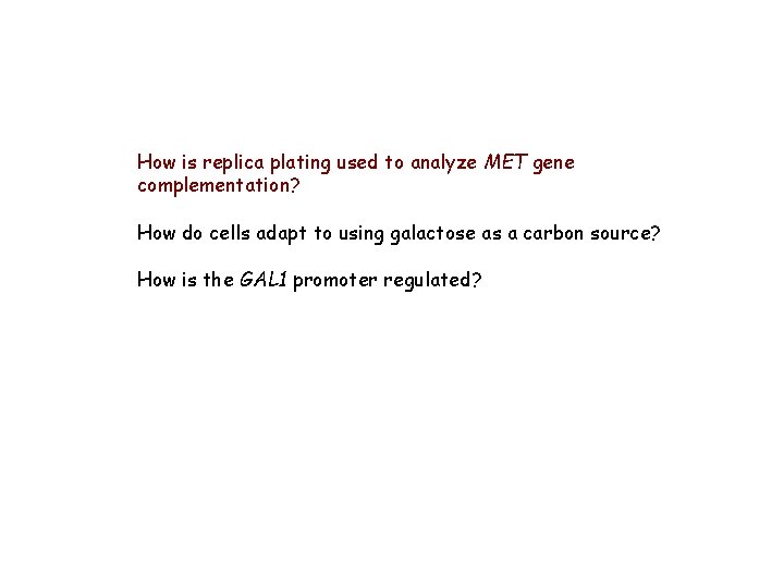 How is replica plating used to analyze MET gene complementation? How do cells adapt