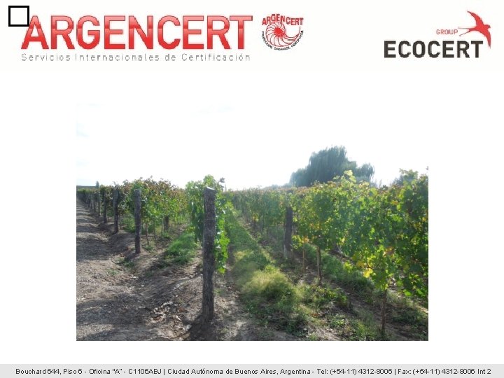 � Bouchard 644, Piso 6 - Oficina "A“ - C 1106 ABJ | Ciudad � Bouchard 644, Piso 6 - Oficina "A“ - C 1106 ABJ | Ciudad