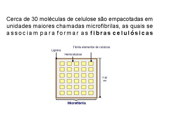 Cerca de 30 moléculas de celulose são empacotadas em unidades maiores chamadas microfibrilas, as