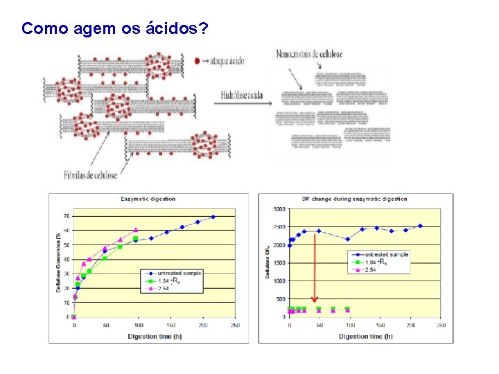 Como agem os ácidos? 