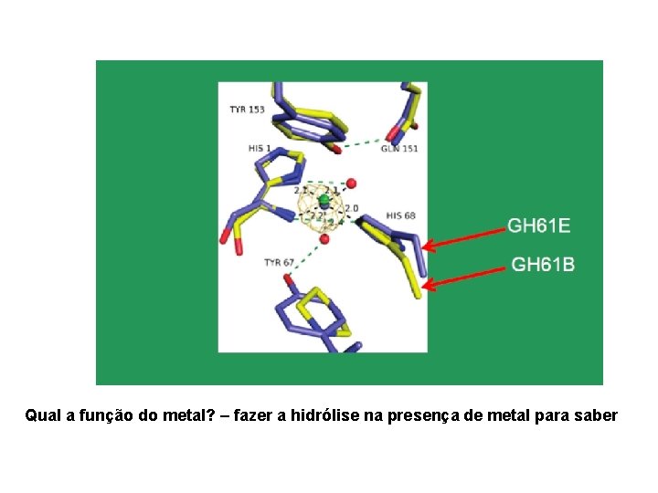Qual a função do metal? – fazer a hidrólise na presença de metal para