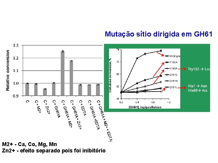 Mutação sítio dirigida em GH 61 M 2+ - Ca, Co, Mg, Mn Zn