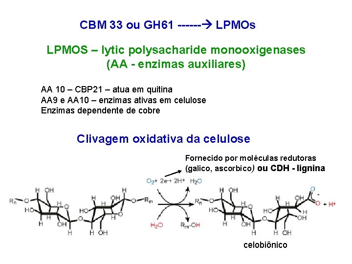 CBM 33 ou GH 61 ------ LPMOs LPMOS – lytic polysacharide monooxigenases (AA -