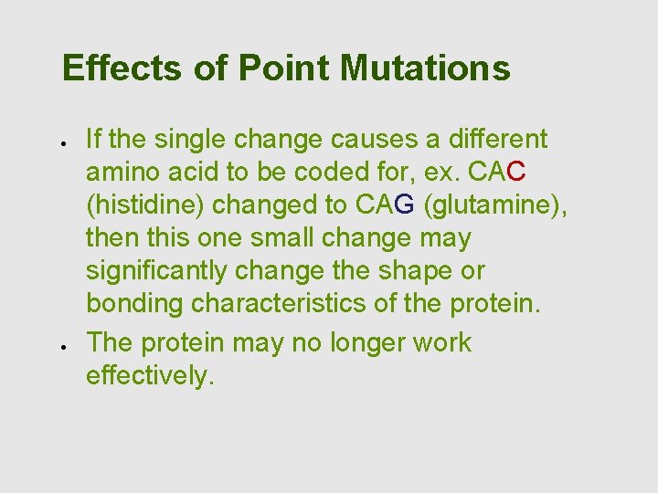 Effects of Point Mutations If the single change causes a different amino acid to