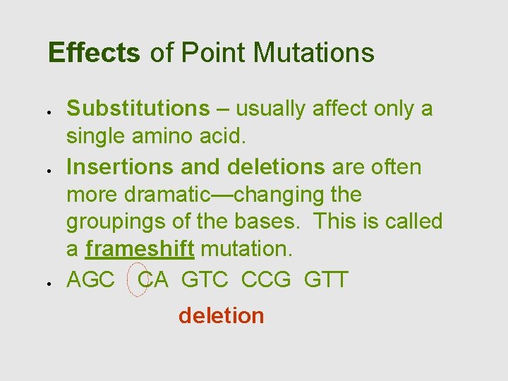 Effects of Point Mutations Substitutions – usually affect only a single amino acid. Insertions