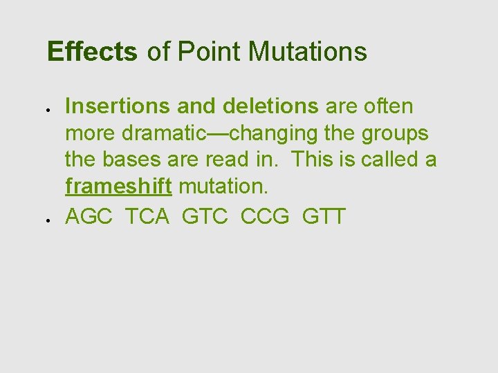 Effects of Point Mutations Insertions and deletions are often more dramatic—changing the groups the