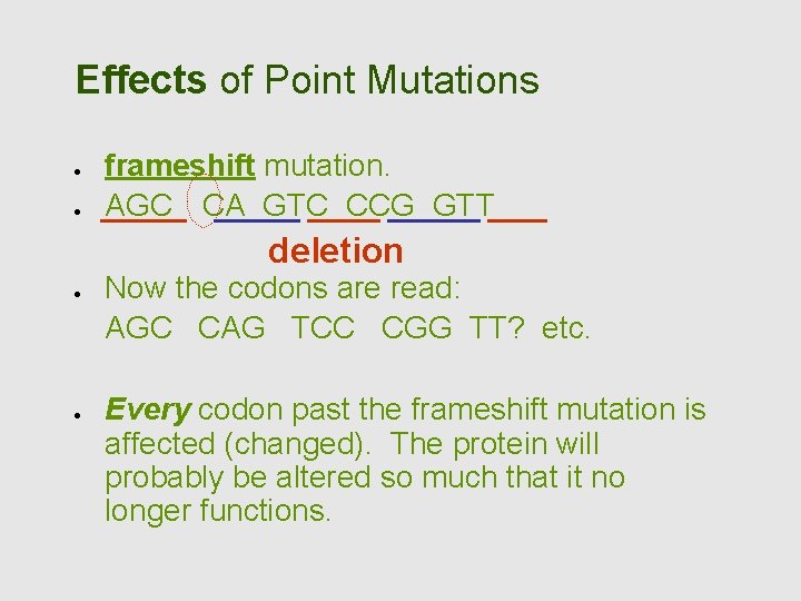 Effects of Point Mutations frameshift mutation. AGC CA GTC CCG GTT deletion Now the