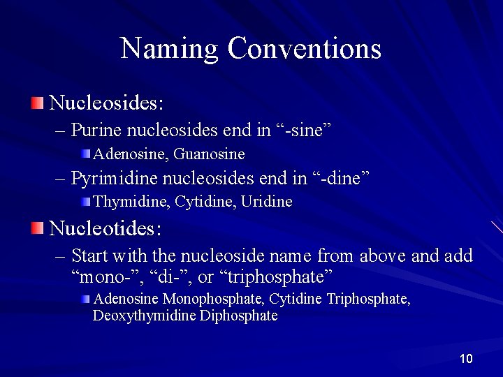 Naming Conventions Nucleosides: – Purine nucleosides end in “-sine” Adenosine, Guanosine – Pyrimidine nucleosides