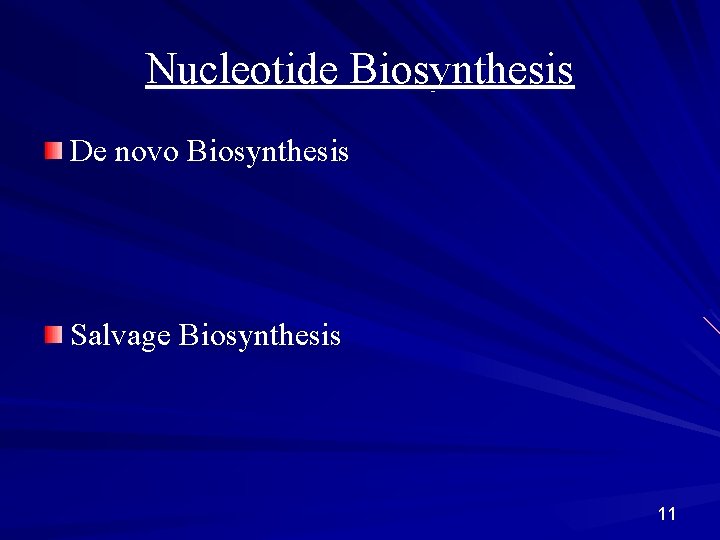 Nucleotide Biosynthesis De novo Biosynthesis Salvage Biosynthesis 11 