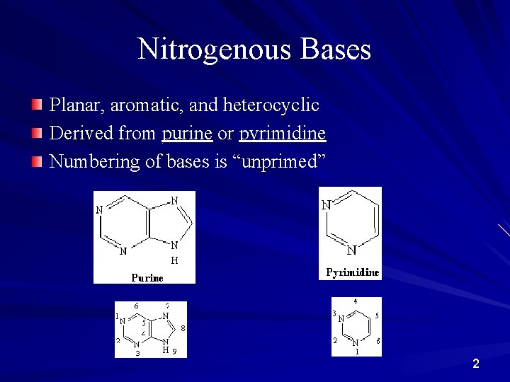 Nitrogenous Bases Planar, aromatic, and heterocyclic Derived from purine or pyrimidine Numbering of bases