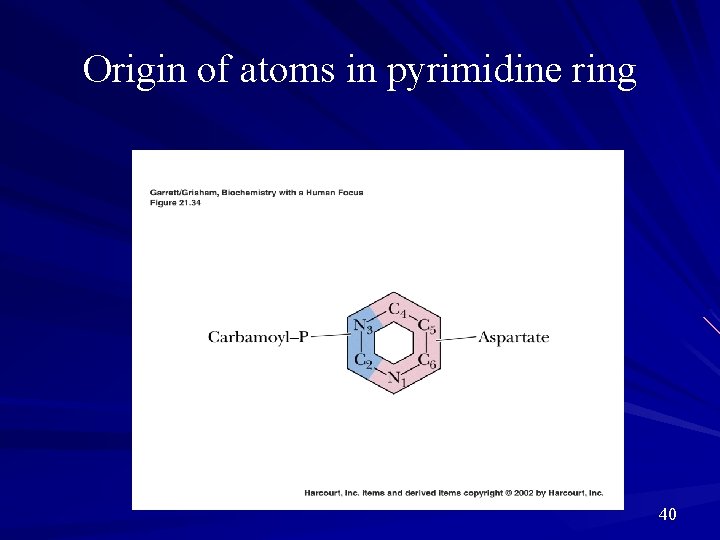 Origin of atoms in pyrimidine ring 40 