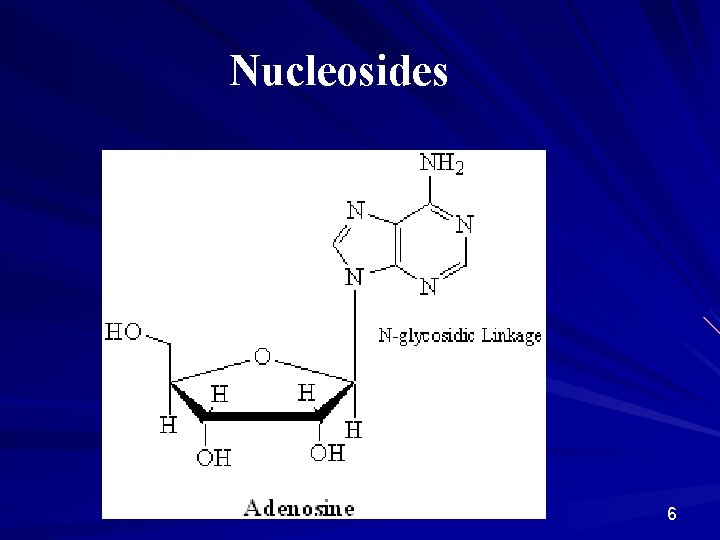 Nucleosides 6 