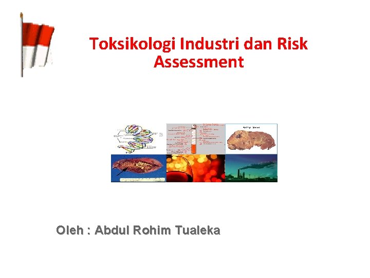 Toksikologi Industri dan Risk Assessment Oleh : Abdul Rohim Tualeka 