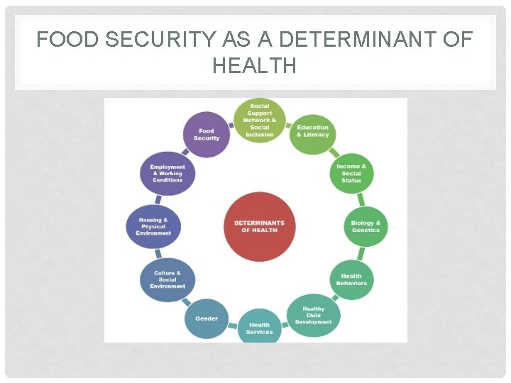 FOOD SECURITY AS A DETERMINANT OF HEALTH 