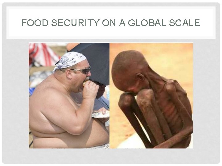 FOOD SECURITY ON A GLOBAL SCALE 