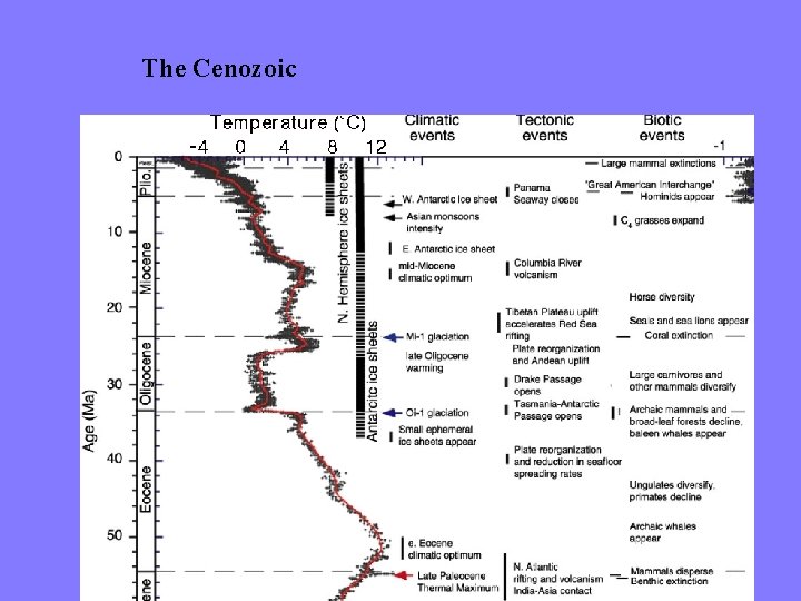 The Cenozoic 