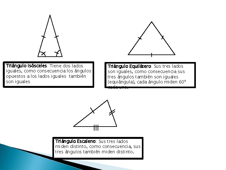 Triángulo Isósceles: Tiene dos lados iguales, como consecuencia los ángulos opuestos a los lados