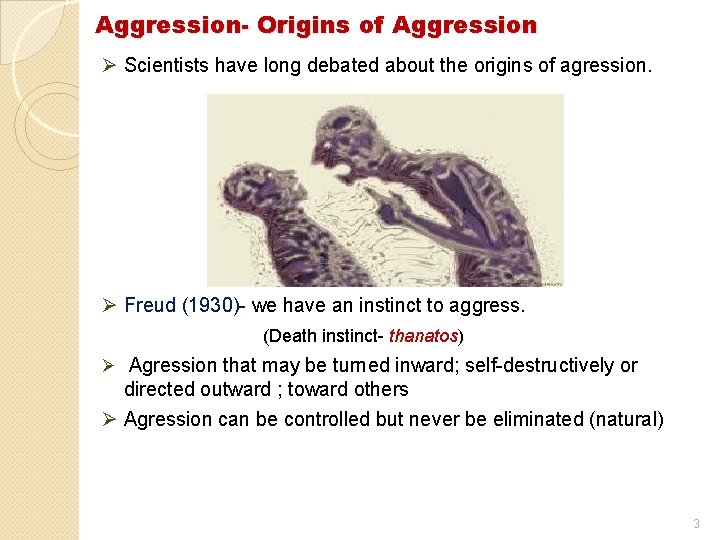 Aggression- Origins of Aggression Ø Scientists have long debated about the origins of agression.