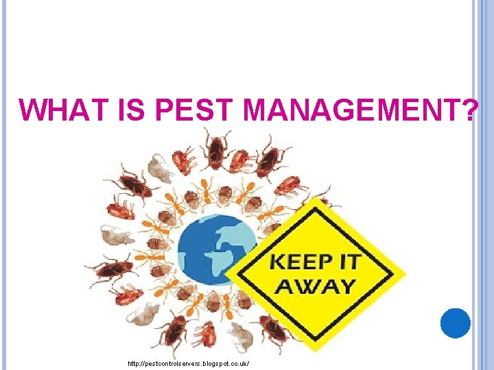 WHAT IS PEST MANAGEMENT? http: //pestcontrolservers. blogspot. co. uk/ 