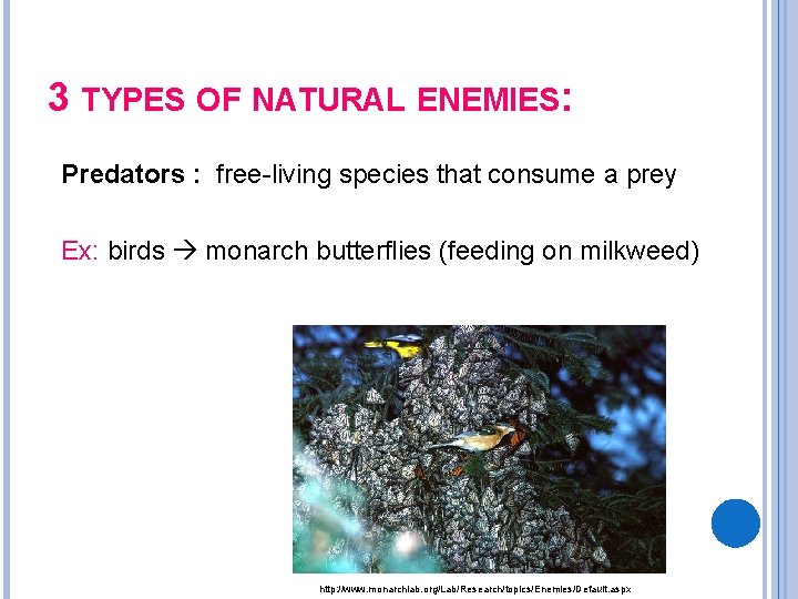 3 TYPES OF NATURAL ENEMIES: Predators : free-living species that consume a prey Ex: