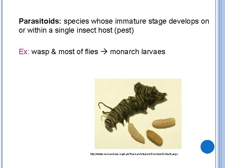 Parasitoids: species whose immature stage develops on or within a single insect host (pest)