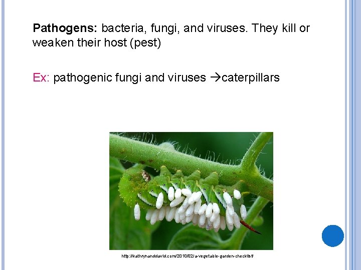 Pathogens: bacteria, fungi, and viruses. They kill or weaken their host (pest) Ex: pathogenic