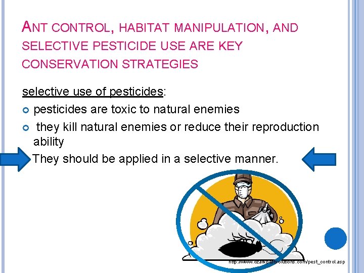 ANT CONTROL, HABITAT MANIPULATION, AND SELECTIVE PESTICIDE USE ARE KEY CONSERVATION STRATEGIES selective use