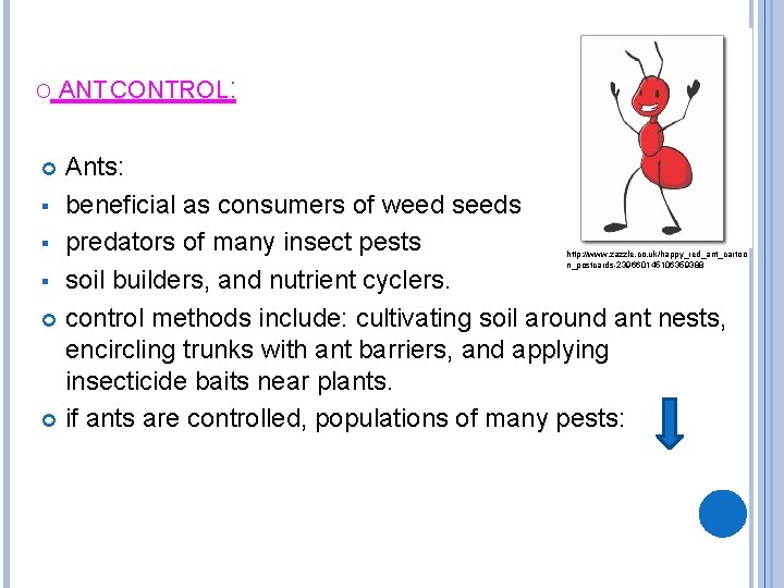 O ANT CONTROL: Ants: § beneficial as consumers of weed seeds § predators of