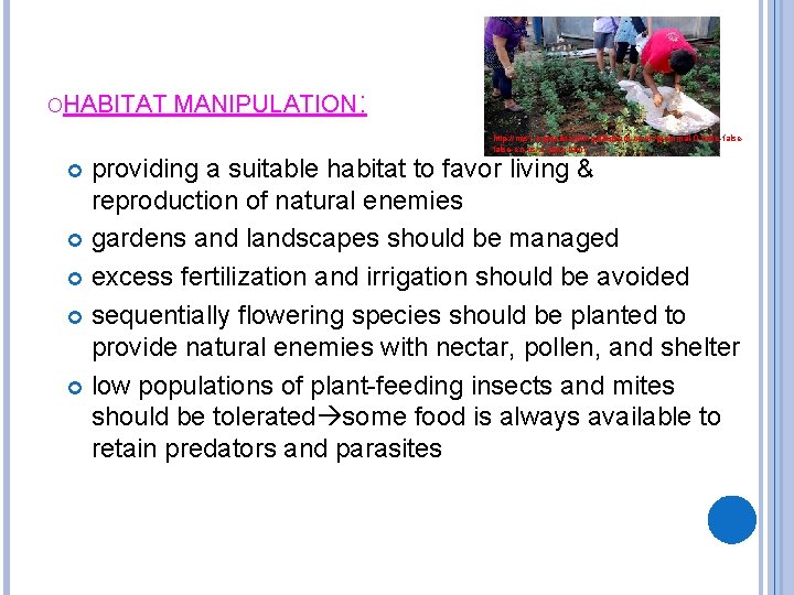 OHABITAT MANIPULATION: http: //ncs 1 -organicfarming. blogspot. co. uk/p/normal-0 -falsefalse-en-us-x-none. html providing a suitable