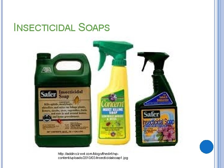 INSECTICIDAL SOAPS http: //addins. kwwl. com/blogs/thedirt/wpcontent/uploads/2010/03/insecticidalsoap 1. jpg 