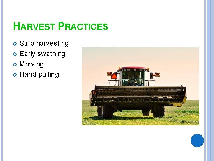 HARVEST PRACTICES Strip harvesting Early swathing Mowing Hand pulling 