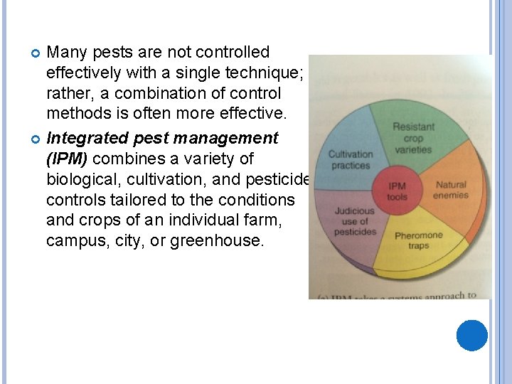 Many pests are not controlled effectively with a single technique; rather, a combination of